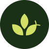 cropped-cropped-ICON-ROUND-LIGHT-GREEN-B-1-1.png